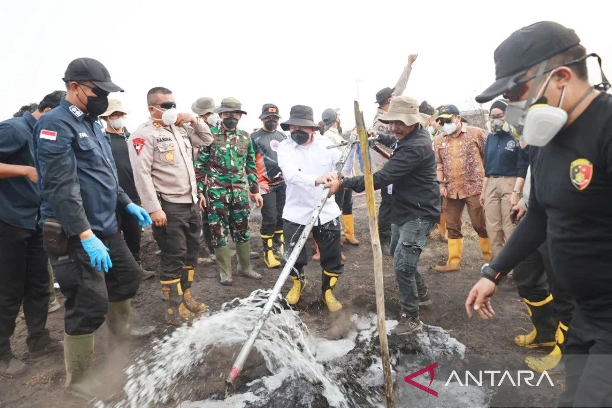 Kalsel Perkuat Penanganan Karhutla, Pembasahan Gambut Diminta Diterapkan Lebih Luas